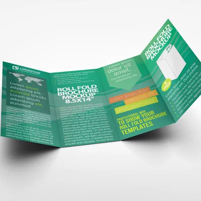 Custom roll fold brochure Dubai